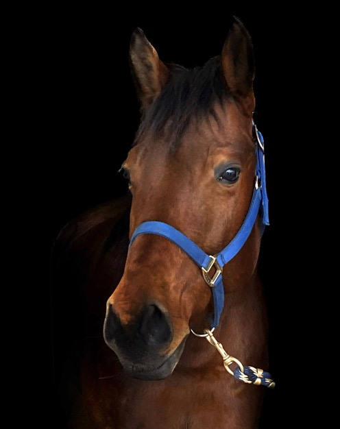 Julia Schütze, Moderatorin, Journalistin, Podcasterin, Podcast